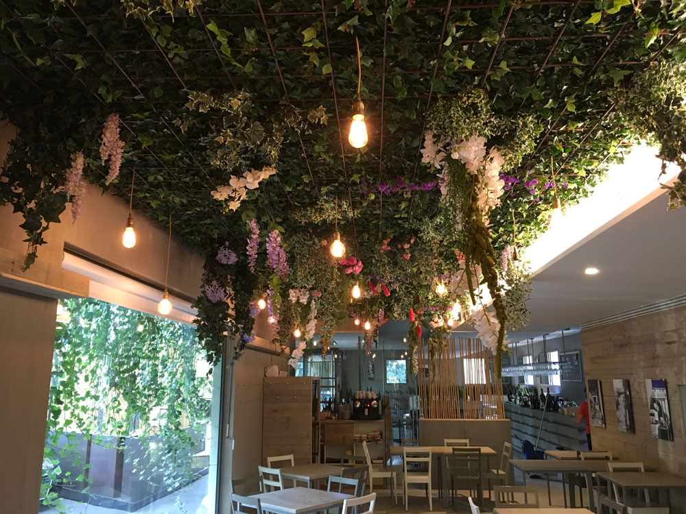 Allestimento-IVY-Reggio-Emilia-(2)