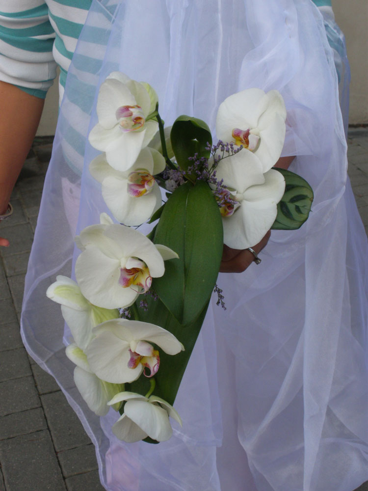 Bouquet-by-Cilloni-13