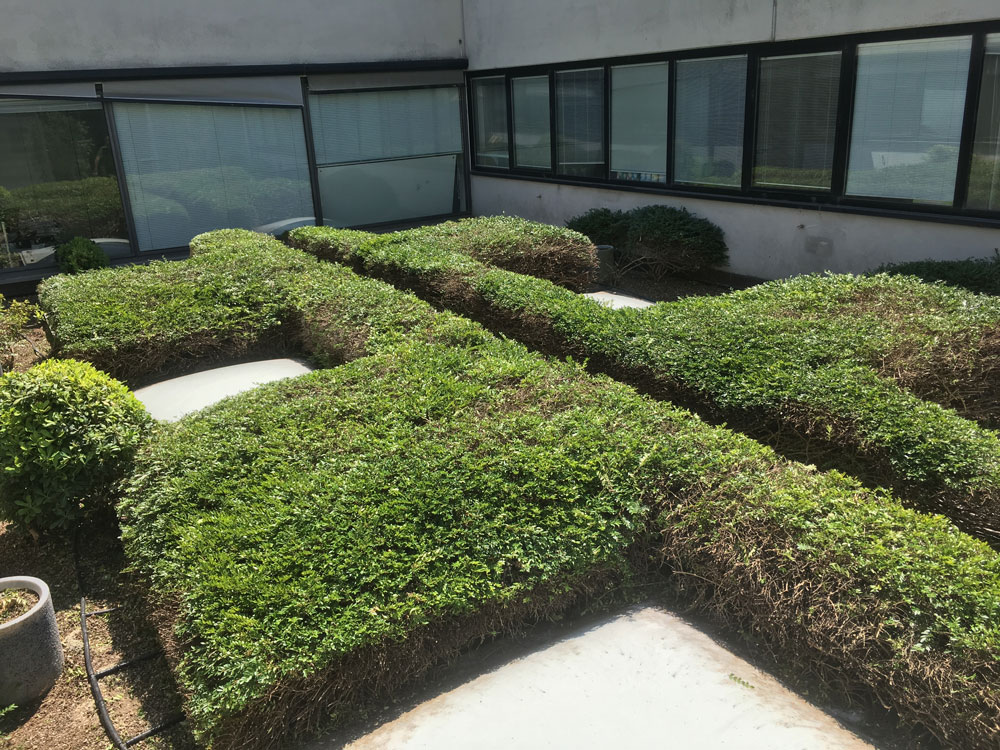 Terrazzi-Parmalat-(2)
