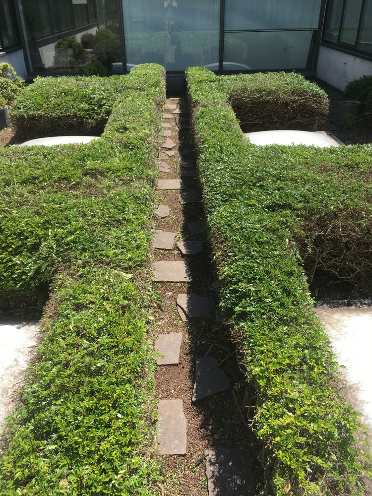 Terrazzi-Parmalat-(3)