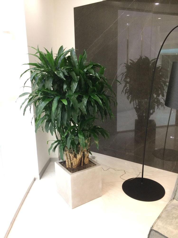 cilloni-service-uffici-hydrocoltura-11