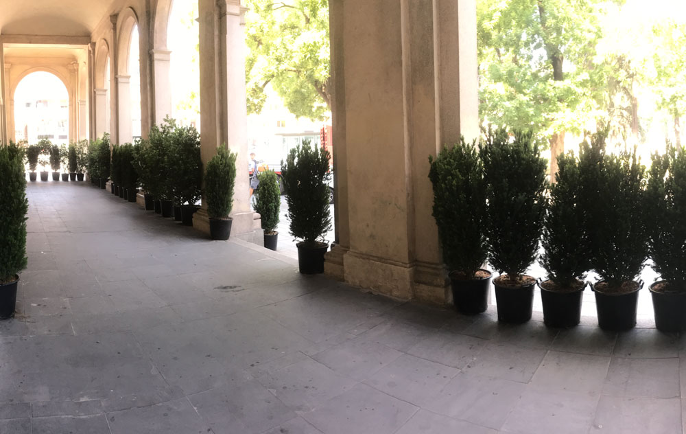 noleggio-cilloni-1