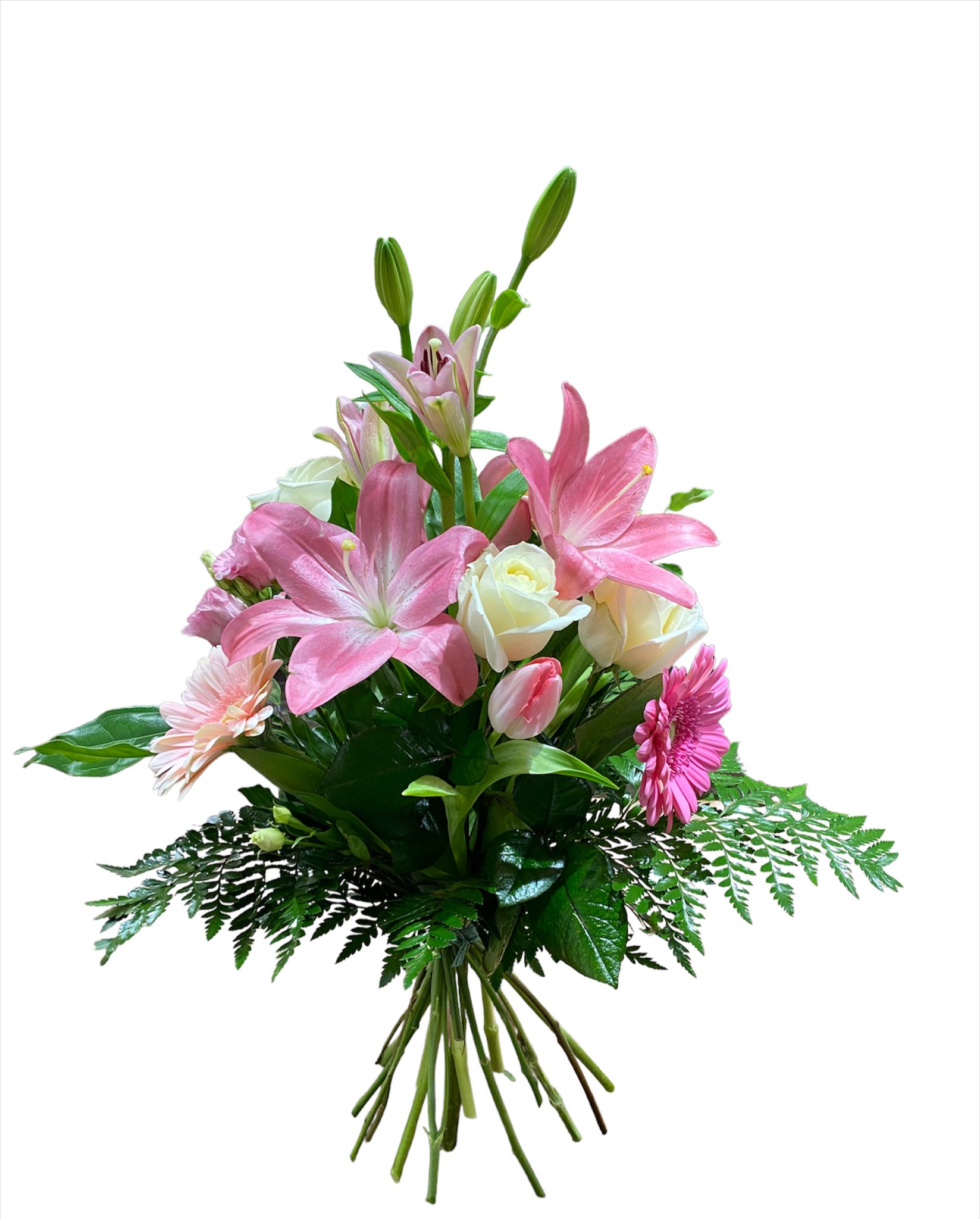 Pinocchio: Mazzo Pink and White