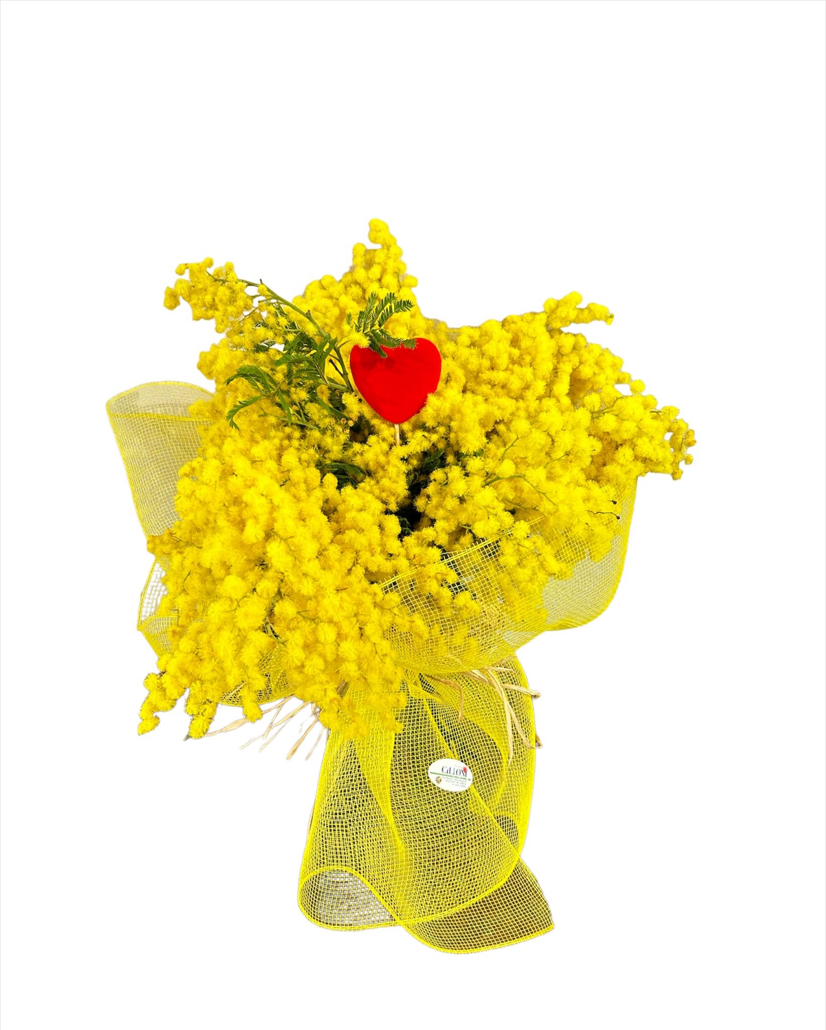 cuore mimosa