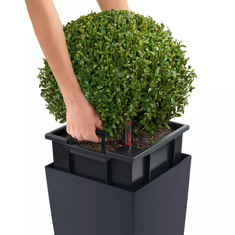 Cubico premium 40 - immagine 6