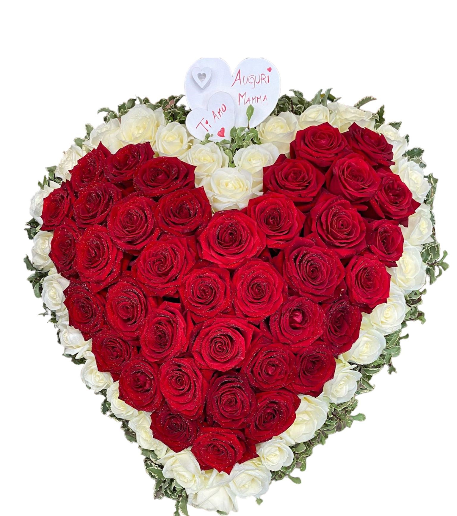 Ginevra: Cuore di Rose