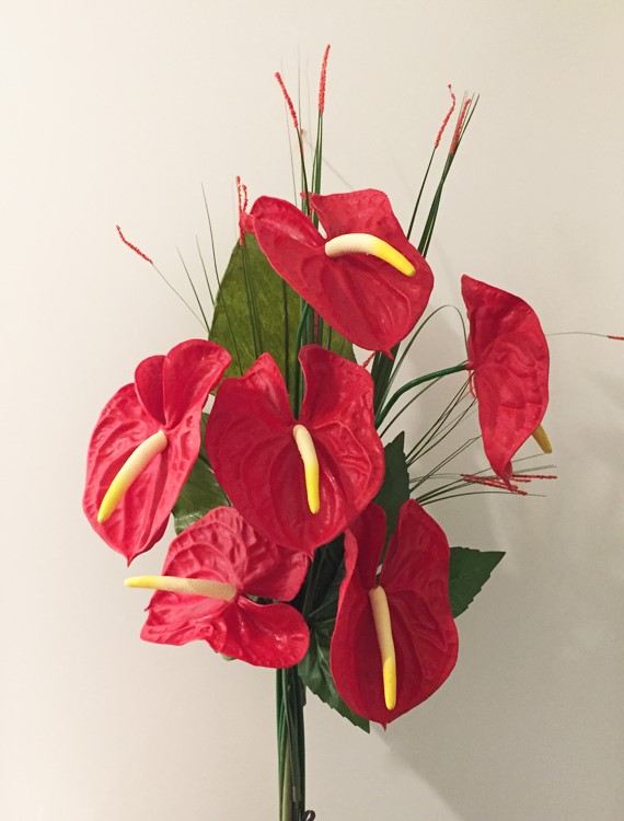 Mazzo di Anthurium