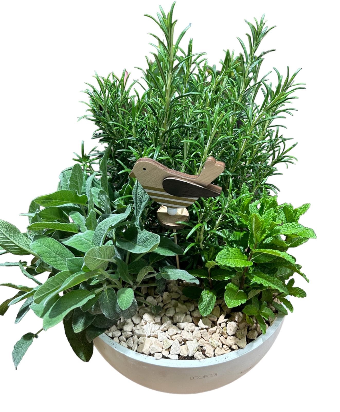 Ciotola di aromatiche - immagine 2