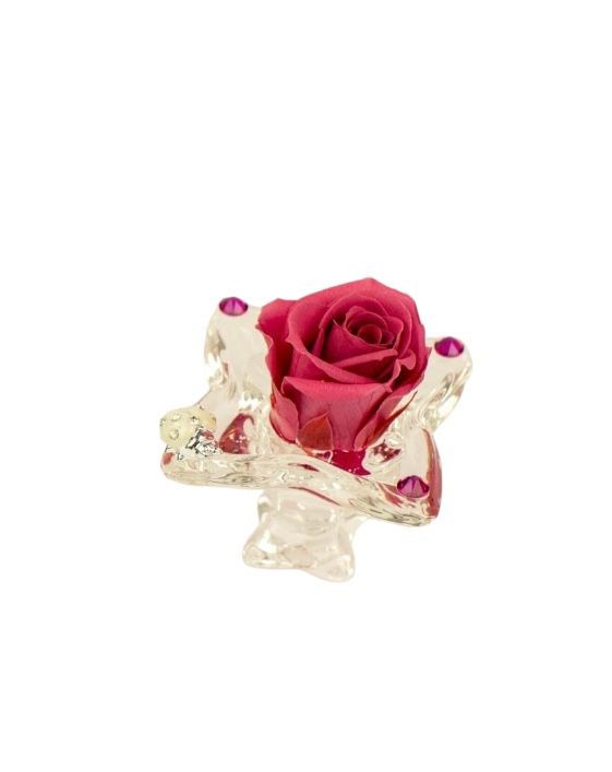 Rosa stabilizzata rossa