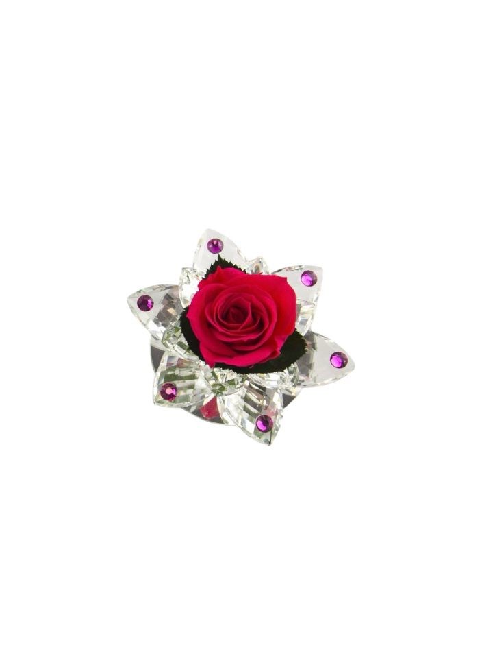 Rosa stabilizzata