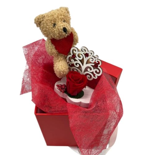 box con peluche e rosa stabilizzata