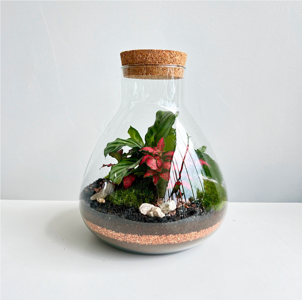 terrarium green mix