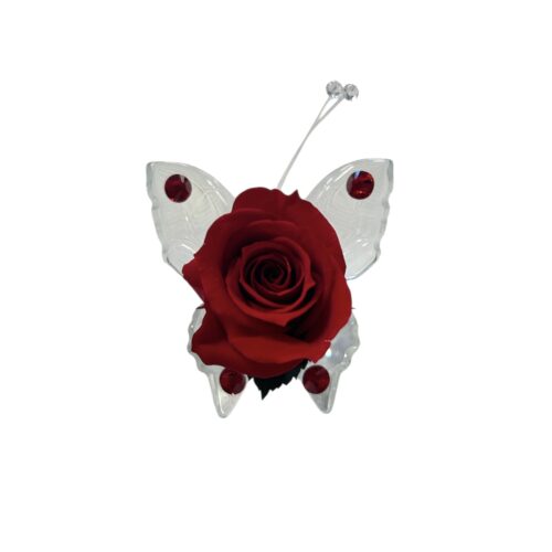 rosa stabilizzata