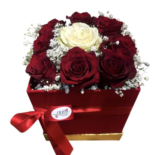 boxes of roses