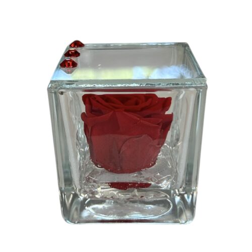 Rosa Stabilizzata in Cubo di Vetro – Eleganza senza Tempo